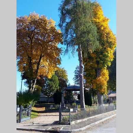 Maison Independ. 6 Personnes A 10 Mn De Gerardmer Granges-sur-Vologne ภายนอก รูปภาพ