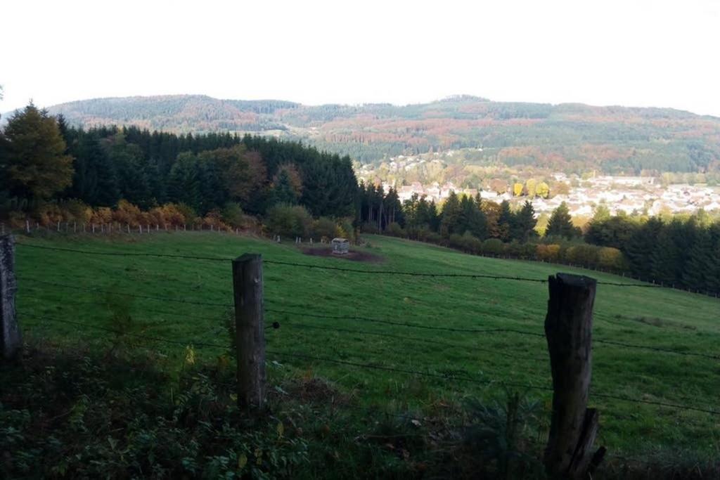 Maison Independ. 6 Personnes A 10 Mn De Gerardmer Granges-sur-Vologne ภายนอก รูปภาพ