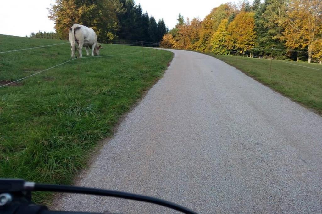 Maison Independ. 6 Personnes A 10 Mn De Gerardmer Granges-sur-Vologne ภายนอก รูปภาพ