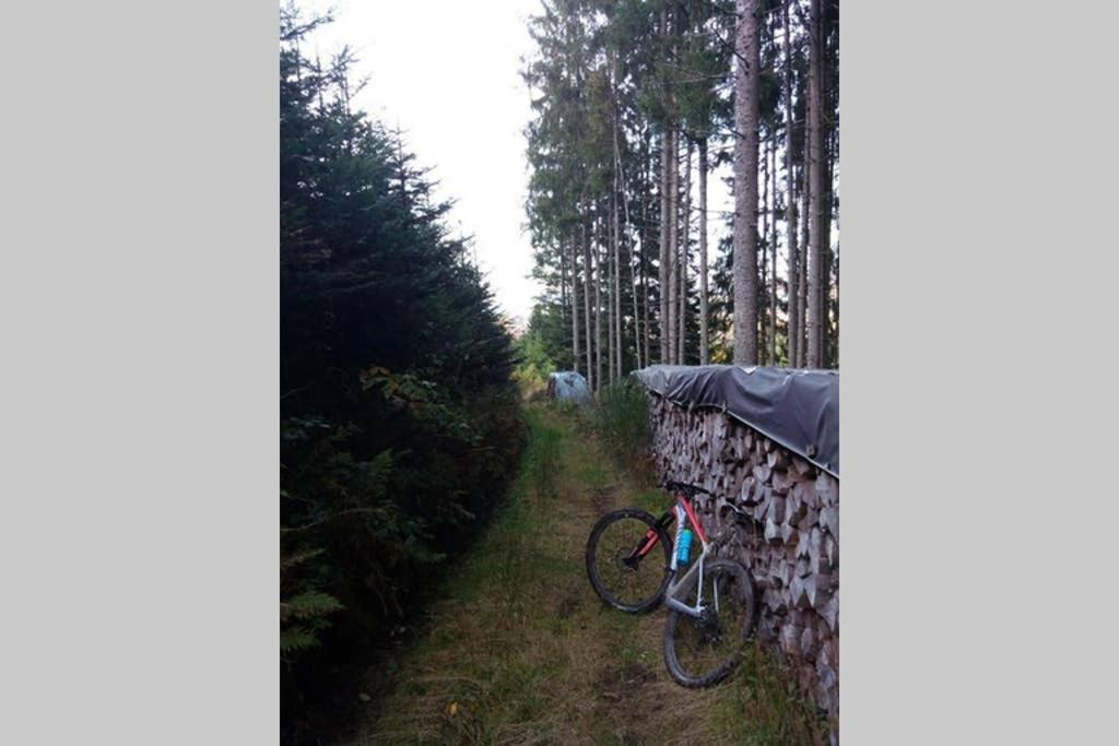 Maison Independ. 6 Personnes A 10 Mn De Gerardmer Granges-sur-Vologne ภายนอก รูปภาพ