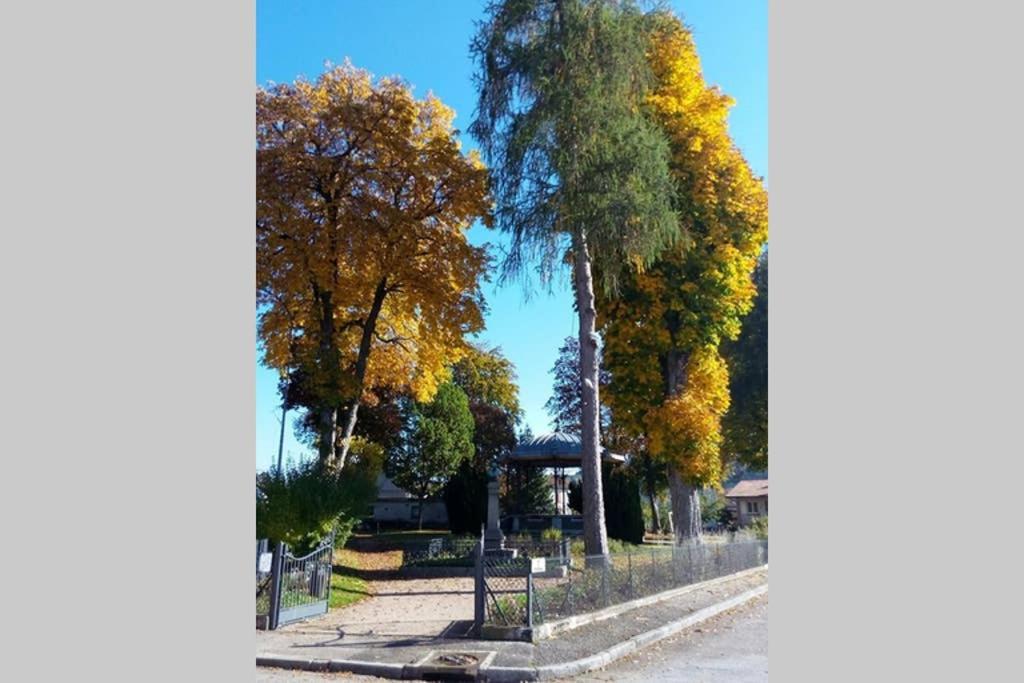 Maison Independ. 6 Personnes A 10 Mn De Gerardmer Granges-sur-Vologne ภายนอก รูปภาพ